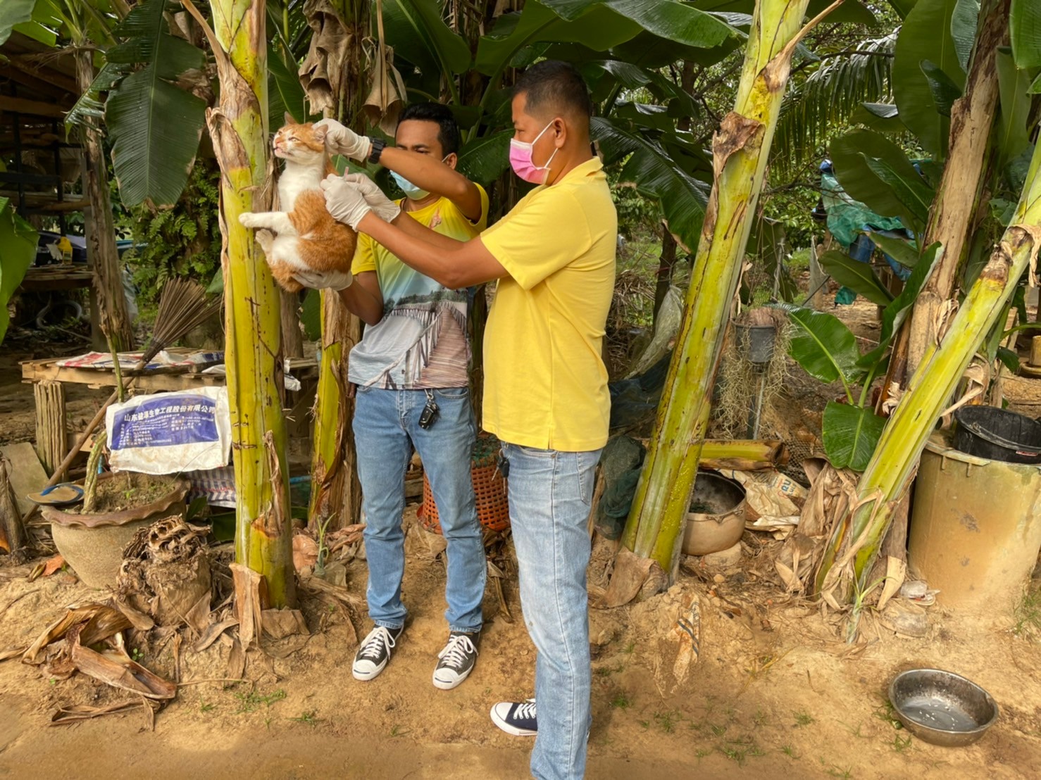 บริการฉีดวัคซีนป้องกันโรคพิษสุนัขบ้า ให้กับสุนัขและแมว ในพื้นที่ตำบลสวีและตำบลปากเเพรก